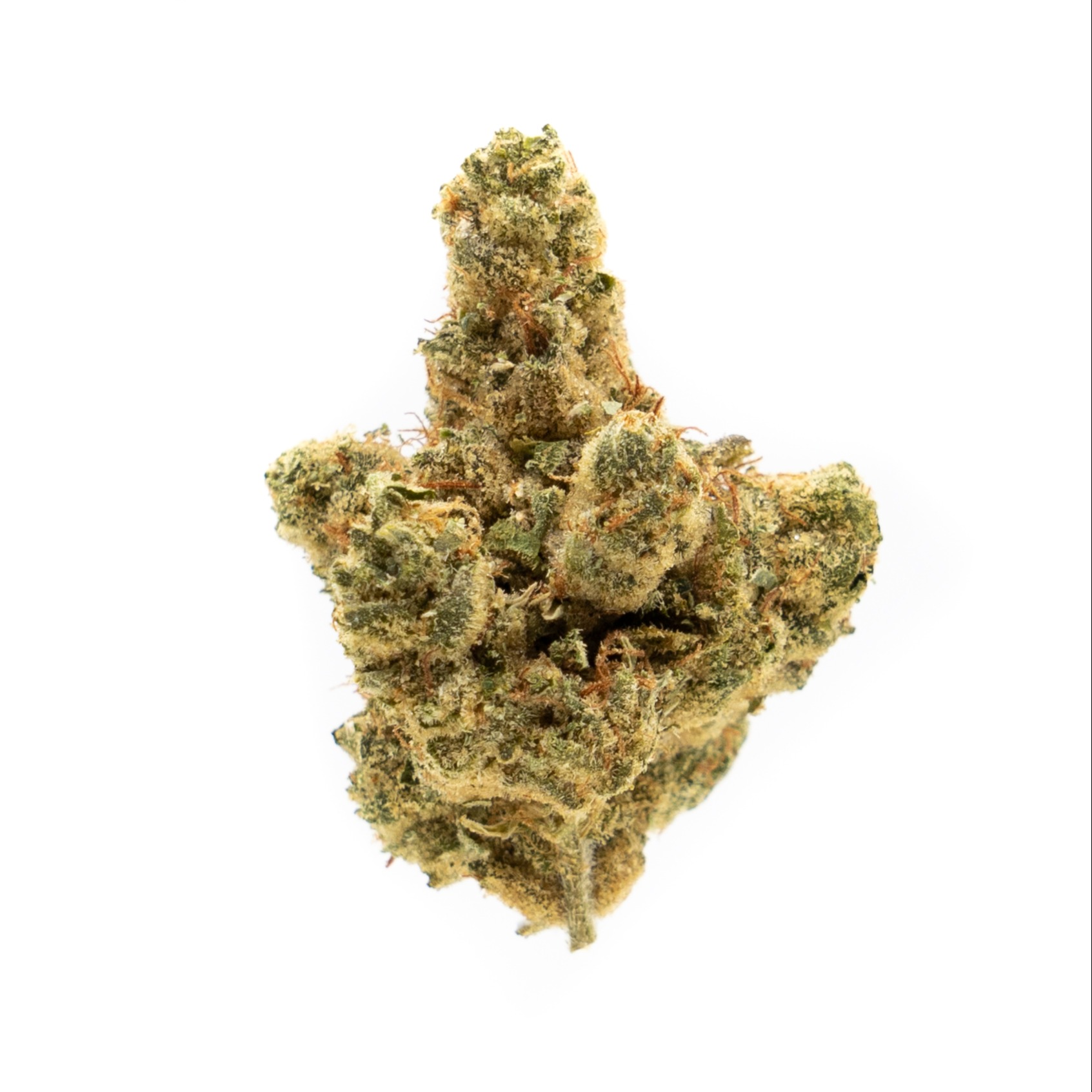 Sour OG